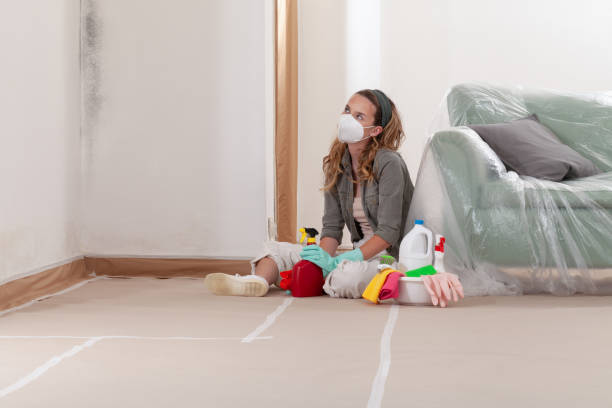 Reliable Mold Remediation contractor in Lillington, NC by Cheap Mold Removal
